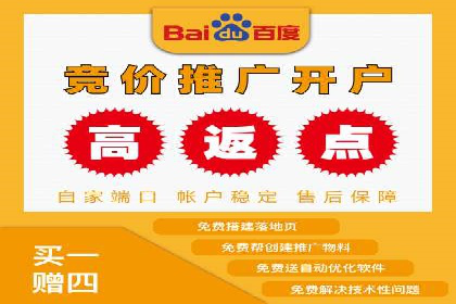 某品牌SEM代运营的成长历程与启示